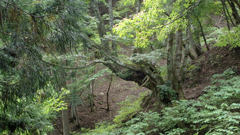 e0024081_08464075.jpg