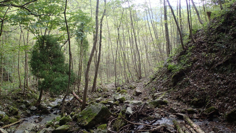e0024081_08480294.jpg