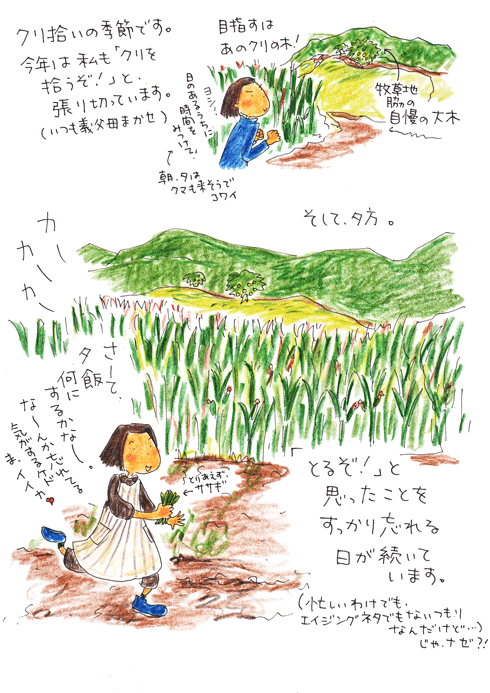クリとマメさとおかしな私_f0236291_12245274.gif