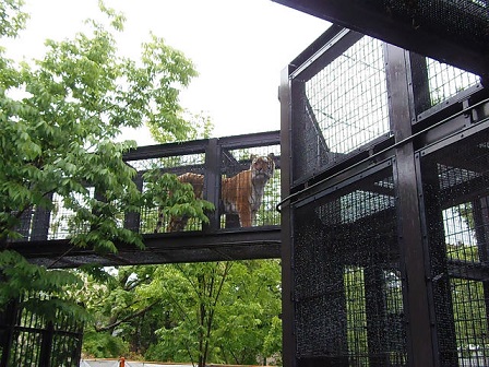f0297893_1824327.jpg
