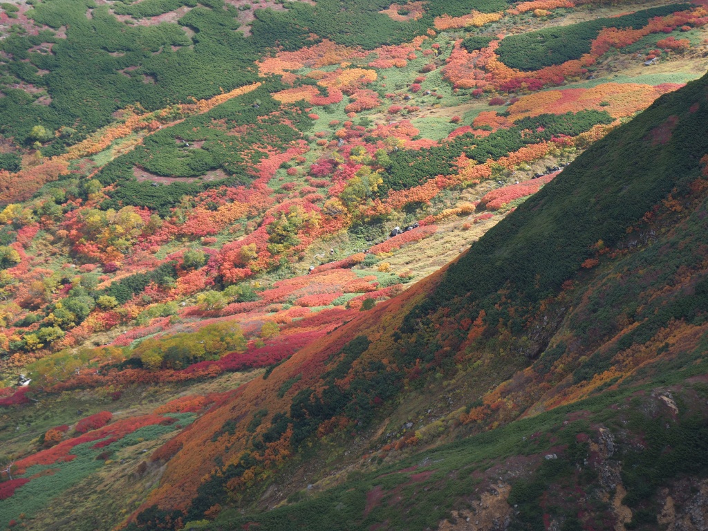 愛山渓温泉から紅葉登山－、9月16日－速報版－_f0138096_2294259.jpg