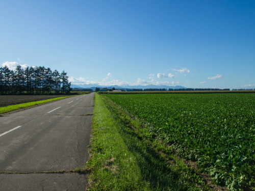 秋の実りのパッチワーク~中札内村の何気ない農村風景~_f0276498_23460591.jpg