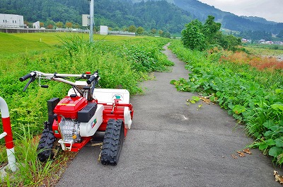 もうすぐ八色の森健康ウォーキング_c0336902_1433129.jpg