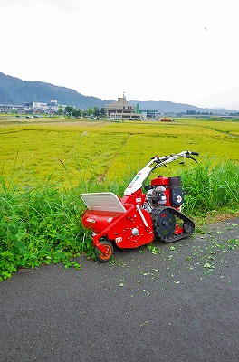 もうすぐ八色の森健康ウォーキング_c0336902_14343550.jpg