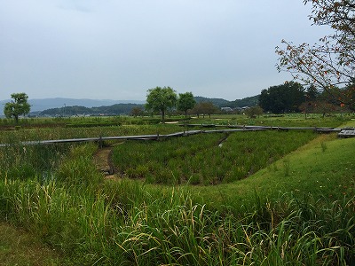 岡山市の神社などを散策_b0062010_15363279.jpg