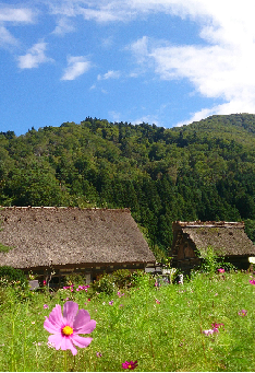 e0149215_23151364.png