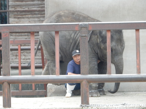 市原ぞうの国　2015年9月　1_d0281322_2159128.jpg