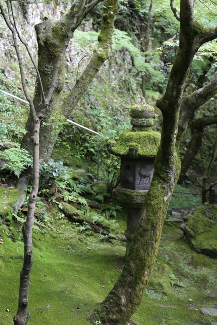 夏の緑の永観堂　其の一_c0342646_13491229.jpg