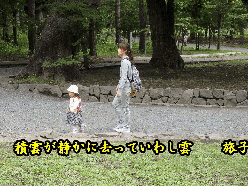 a0193457_9362680.gif