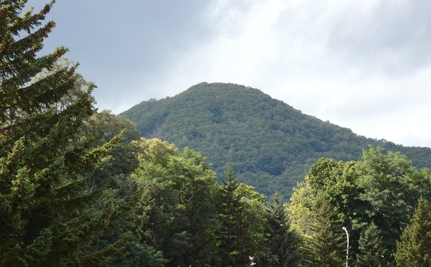a0193457_9395962.jpg
