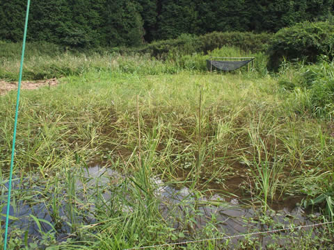 やつだ開拓団9月 野営キャンプの様子_c0177665_1046247.jpg