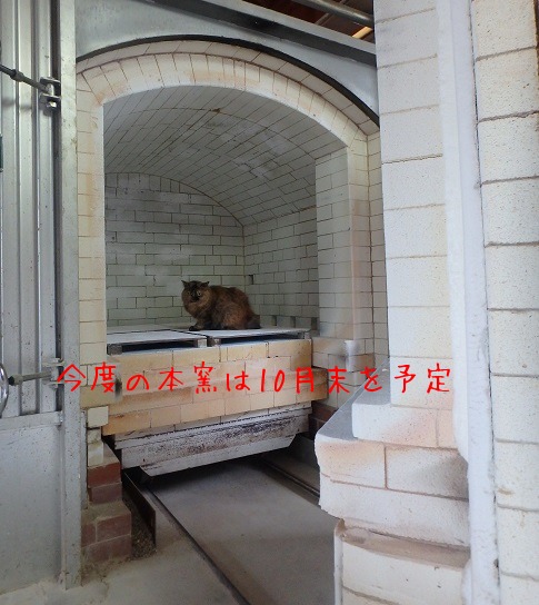 西日本陶磁器フェスタへ向けての窯上げ_d0195183_21491340.jpg