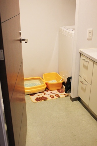 e0354985_11085210.jpg