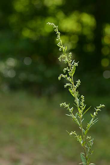 f0212586_9511981.jpg