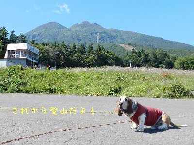 登山してきたよ～！_f0205887_14143954.jpg