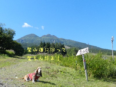 登山してきたよ～！_f0205887_1415125.jpg