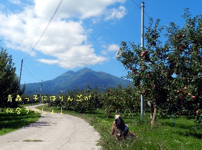 登山してきたよ～！_f0205887_1463822.jpg