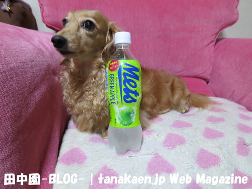 肉体労働が出来ない・・・_b0200291_035265.jpg