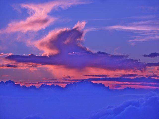 b0121693_95524.jpg