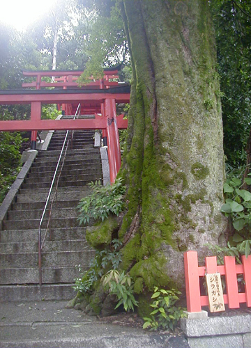 ●神社の造形―義照稲荷神社、稲荷命婦元宮_d0053294_211613.jpg