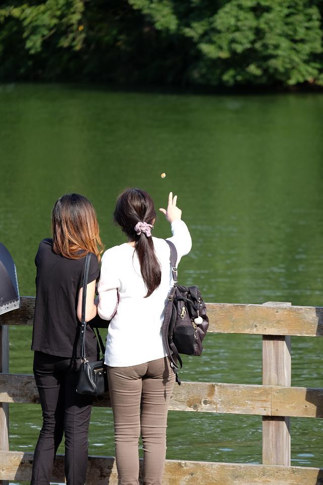 d0069495_16020679.jpg