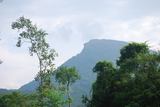 f0101201_17273338.jpg