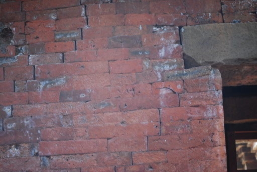 f0101201_17461369.jpg
