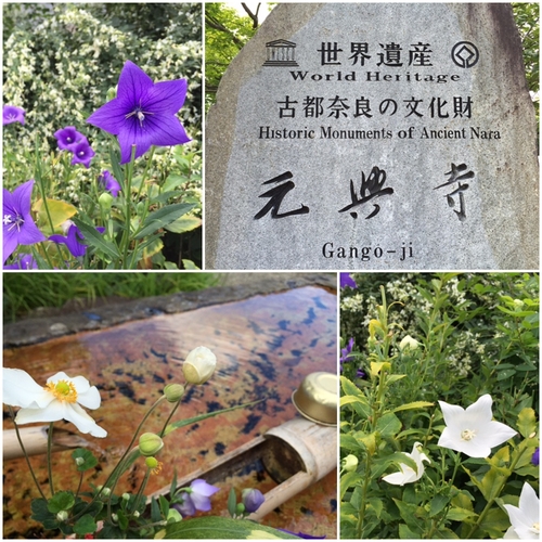 元興寺の境内は・・・花盛り_a0326106_2125189.jpg