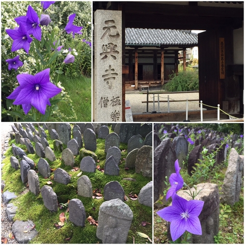 元興寺の境内は・・・花盛り_a0326106_21253849.jpg