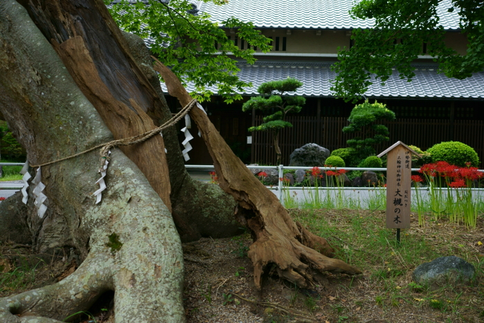 三輪神社_e0177413_22353935.jpg