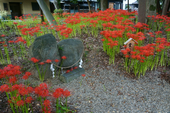 三輪神社_e0177413_22371133.jpg