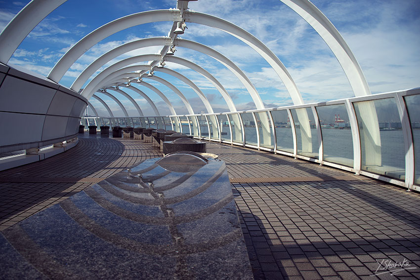 f0344614_17294649.jpg