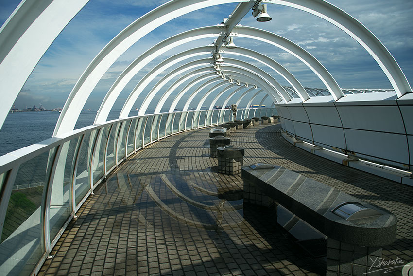 f0344614_1731249.jpg