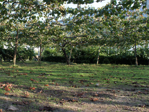 b0168320_2361360.jpg