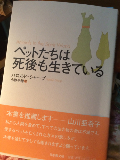 読書の秋_e0086522_07415326.jpg