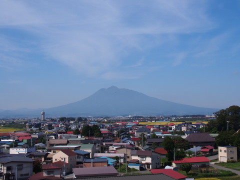 田んぼアート(田舎館村)*2015.09.17_b0147224_23121490.jpg