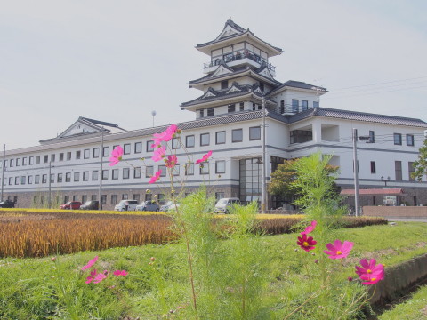 田んぼアート(田舎館村)*2015.09.17_b0147224_23415014.jpg
