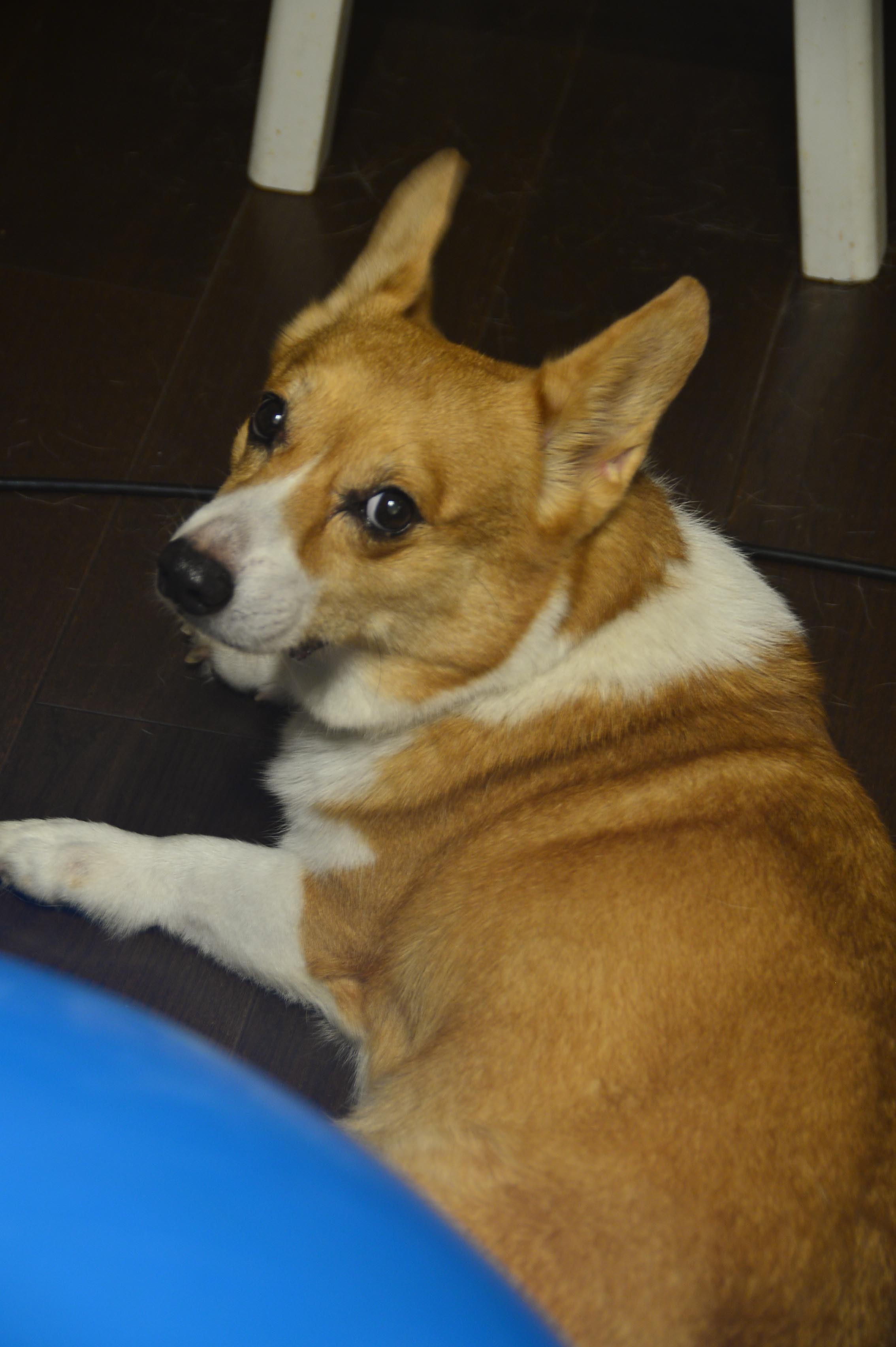 b0310424_13041236.jpg