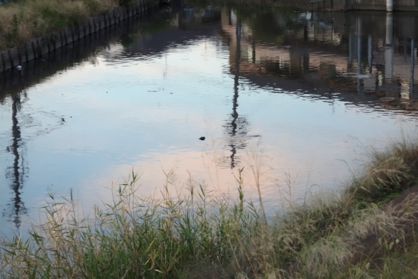 b0293635_10390480.jpg
