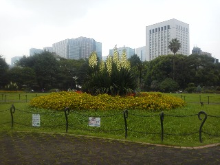 c0076939_20562930.jpg