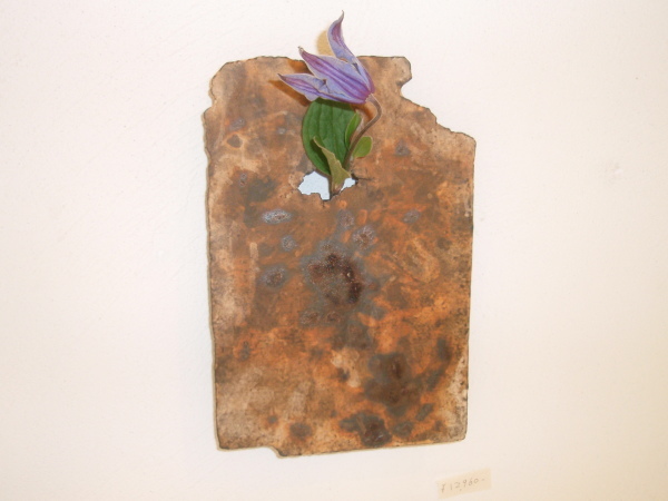 大中和典展　3日目-9/18_b0132442_14052020.jpg