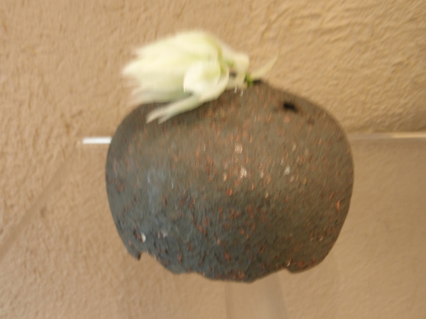 大中和典展　3日目-9/18_b0132442_14063883.jpg