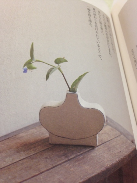 日々の花展のこと_b0132442_16520155.jpg