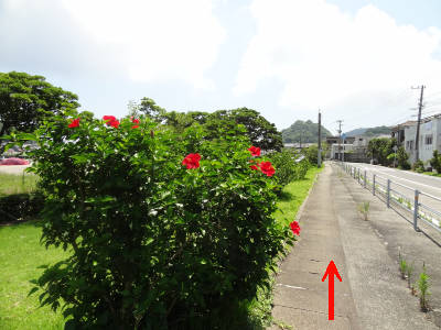 e0033751_21383878.jpg
