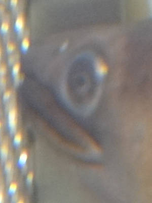 e0033751_21564965.jpg