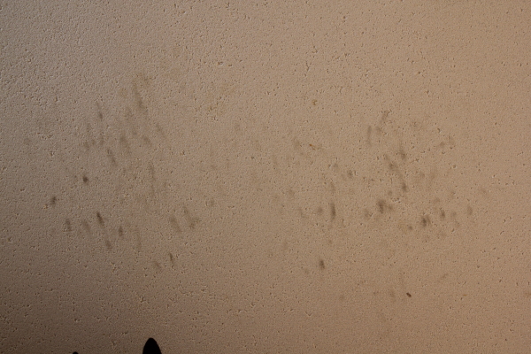 f0160554_21313739.jpg