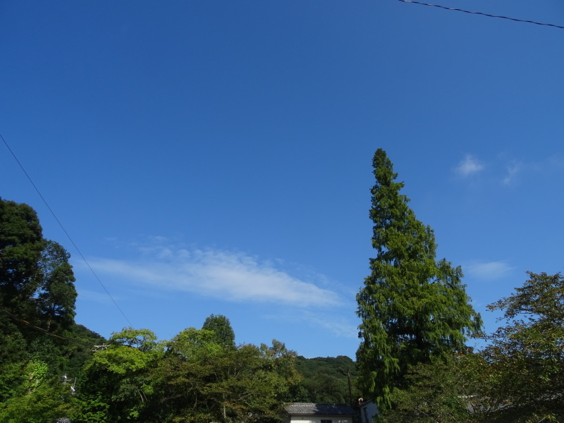 c0108460_21455918.jpg