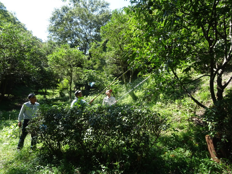 c0108460_22011132.jpg