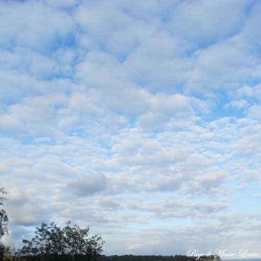 a0111371_1722675.jpg
