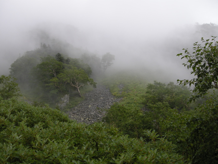 死闘 天狗沢（西奥縦走三年目の敗北）_c0124076_04964.jpg